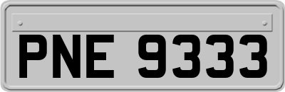 PNE9333