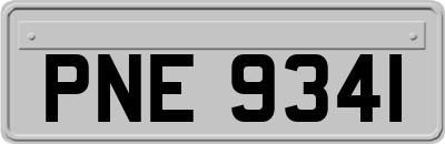 PNE9341