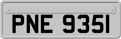 PNE9351