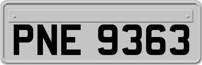 PNE9363