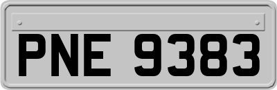 PNE9383