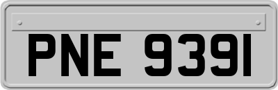 PNE9391