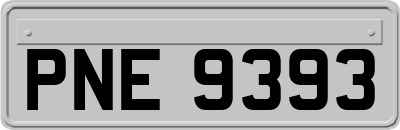 PNE9393