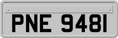 PNE9481