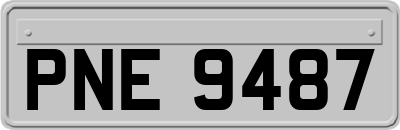 PNE9487