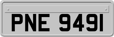 PNE9491