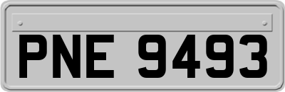 PNE9493