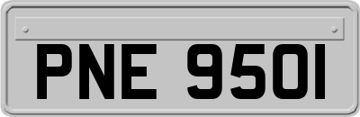 PNE9501