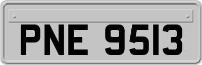 PNE9513