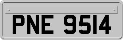 PNE9514