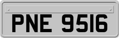 PNE9516