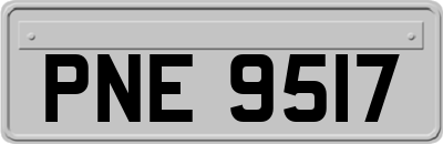 PNE9517