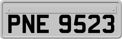PNE9523