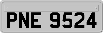 PNE9524