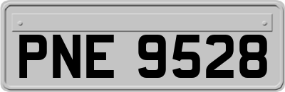 PNE9528