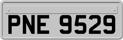 PNE9529