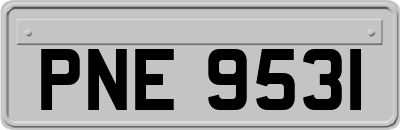 PNE9531