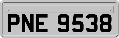 PNE9538
