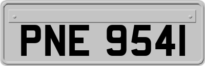 PNE9541