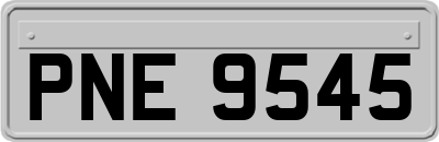 PNE9545