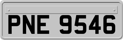 PNE9546
