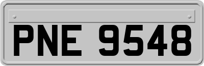 PNE9548