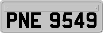 PNE9549