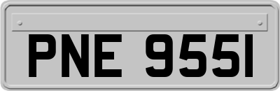 PNE9551