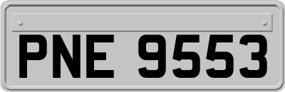 PNE9553