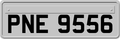 PNE9556