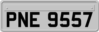 PNE9557