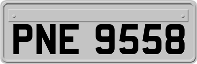 PNE9558