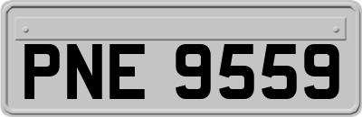 PNE9559