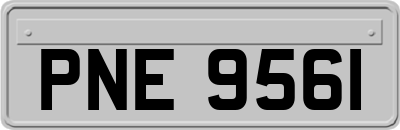 PNE9561