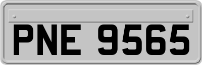 PNE9565
