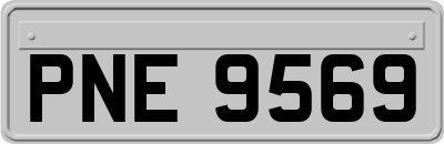 PNE9569