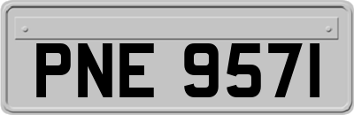 PNE9571