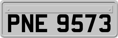 PNE9573