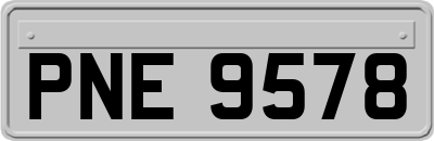 PNE9578
