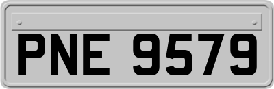 PNE9579