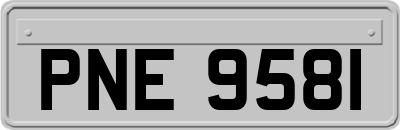PNE9581