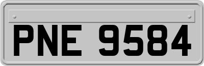 PNE9584