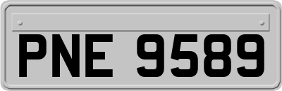 PNE9589