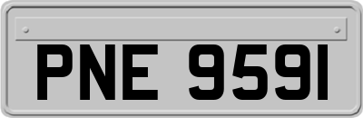 PNE9591