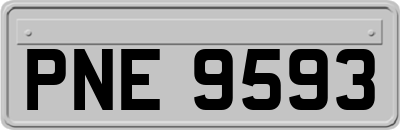 PNE9593