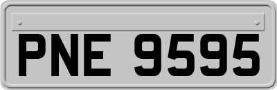 PNE9595