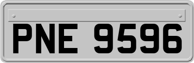 PNE9596