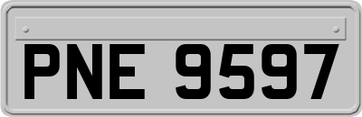 PNE9597