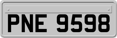 PNE9598