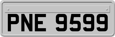 PNE9599